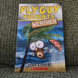 Scholastic Fly Guy Weather Adventure Book By Tedd Arnold